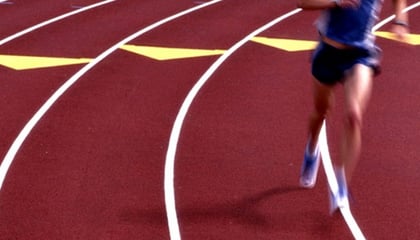 Sports/Play Surface